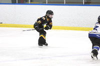 20250103-318032025 Whitby Ringette Tournament