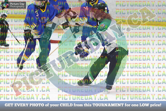 20250103-109103