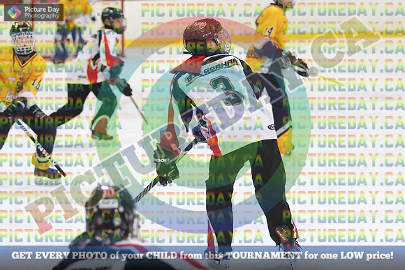 20250208-8485
