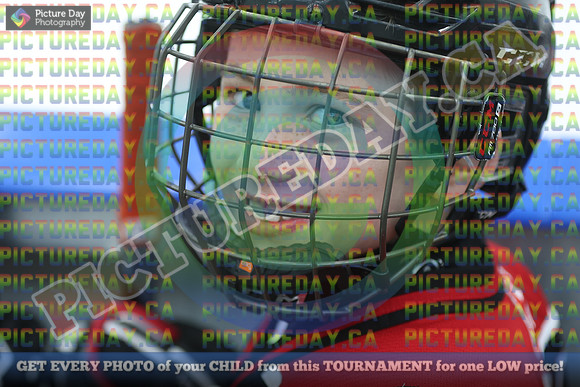 20250119-2084619