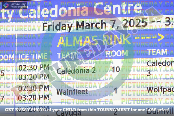 20250307-3719