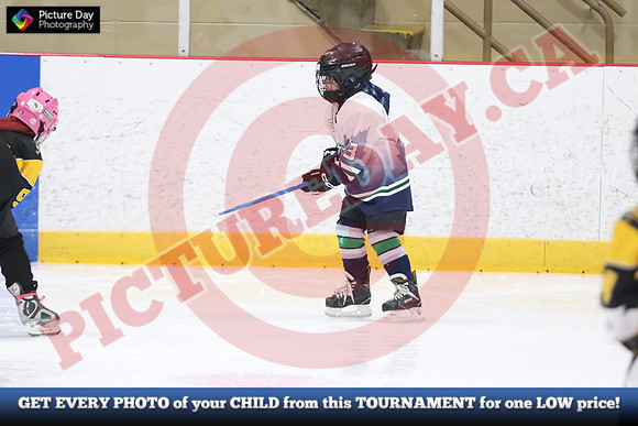 20241214-0830142024 St Marys Sinpers Ringette Tournament