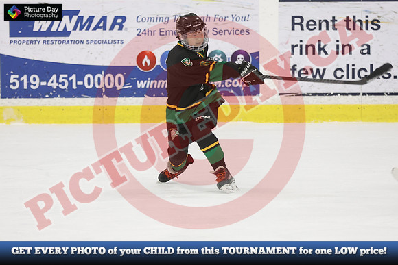 20241108-4529