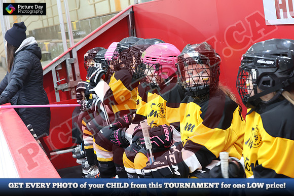 20241215-5727152024 St Marys Sinpers Ringette Tournament