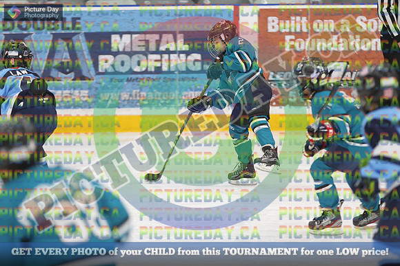 20250117-809917