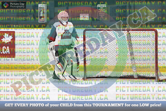 20250201-20803