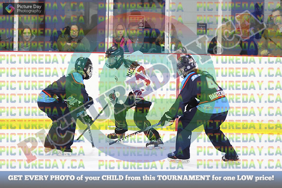20250401-5155