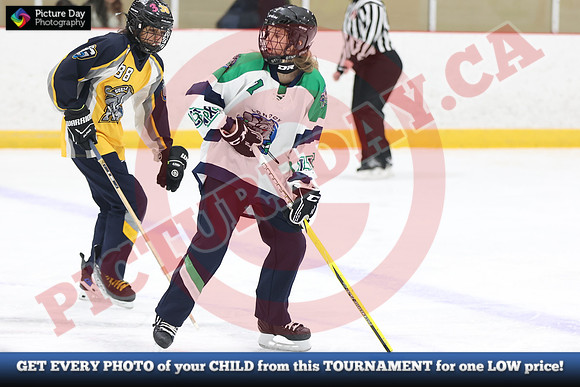 20241214-1121142024 St Marys Sinpers Ringette Tournament