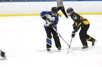 20250103-318132025 Whitby Ringette Tournament