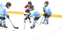 20241108-039282024 Belmont Rangers U7 Rumble