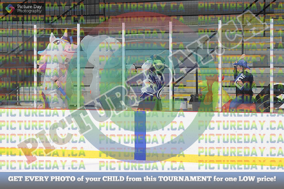 20250313-3331