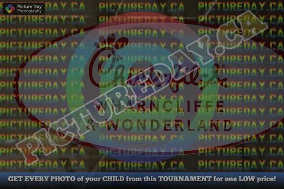 20250131-0001