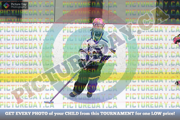 20250105-253265