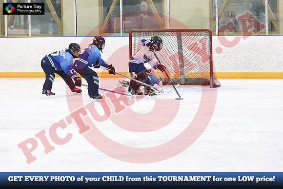 20241215-5106152024 St Marys Sinpers Ringette Tournament