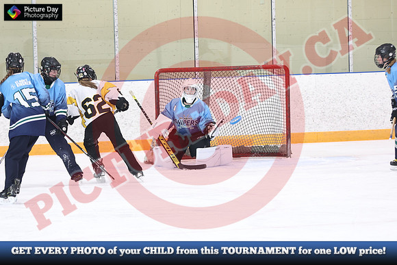 20241214-0285142024 St Marys Sinpers Ringette Tournament