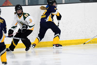 pm 00.1215 TCC-West [A T2] Metcalfe Hornets vs Greater Sudbury