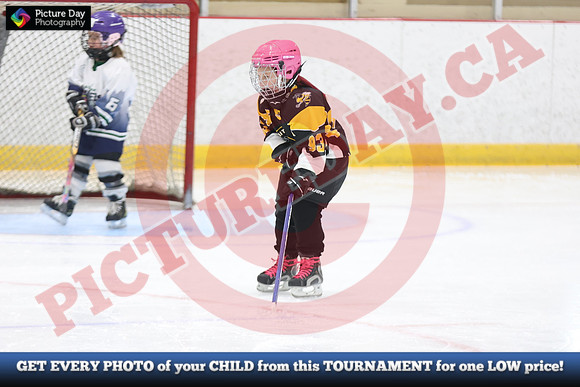 20241214-0752142024 St Marys Sinpers Ringette Tournament