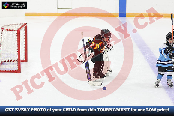 20241108-163582024 Belmont Rangers U7 Rumble