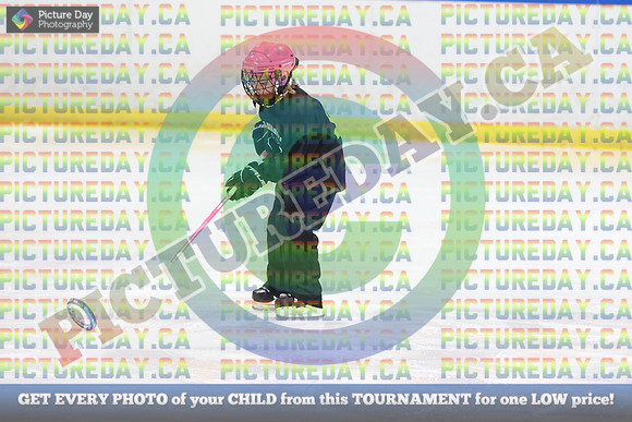 20250103-66133