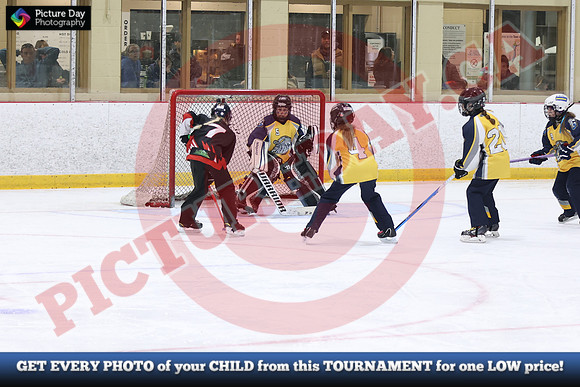20241214-3127142024 St Marys Sinpers Ringette Tournament