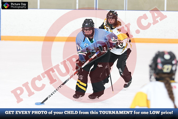 20241214-0237142024 St Marys Sinpers Ringette Tournament