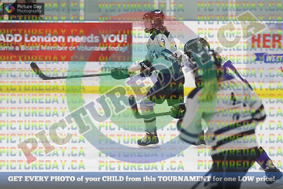 20250131-1111