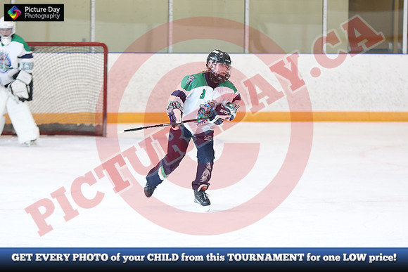 20241214-1608142024 St Marys Sinpers Ringette Tournament