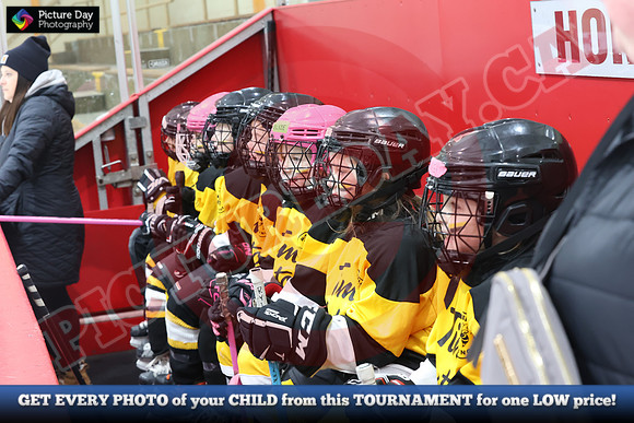 20241215-5724152024 St Marys Sinpers Ringette Tournament