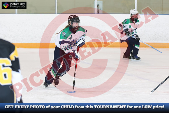 20241214-1631142024 St Marys Sinpers Ringette Tournament