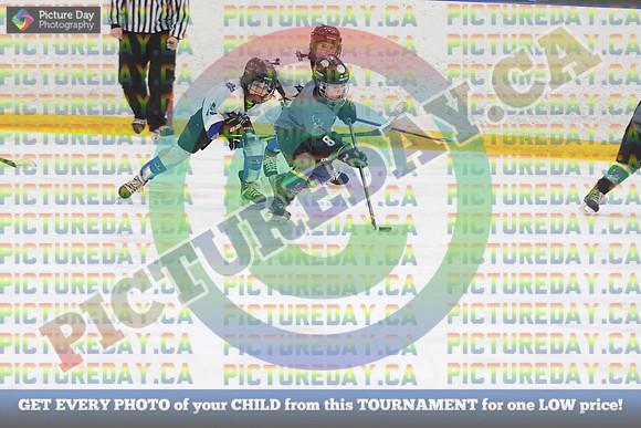 20250119-2001419