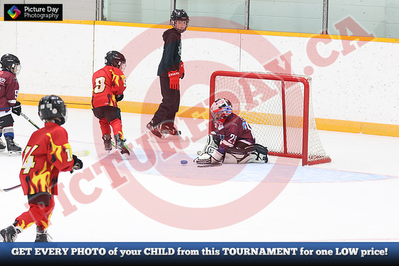 20241108-197182024 Belmont Rangers U7 Rumble