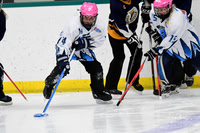 am 11.00 TCC-East [B T2] Muskoka Royals vs Goderich Ice Crushers - Frayne