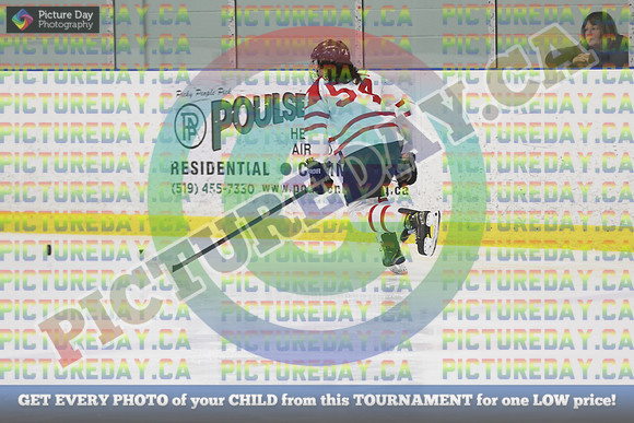20250131-8293