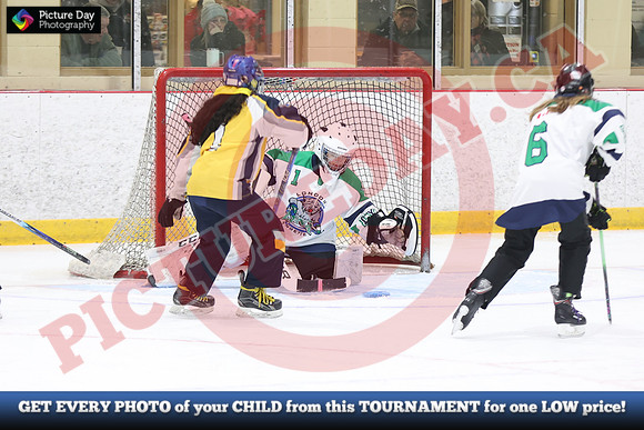 20241214-1117142024 St Marys Sinpers Ringette Tournament