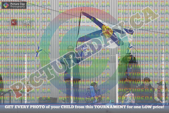 20250331-3027