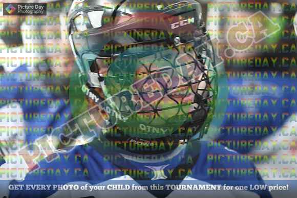 20250207-2800