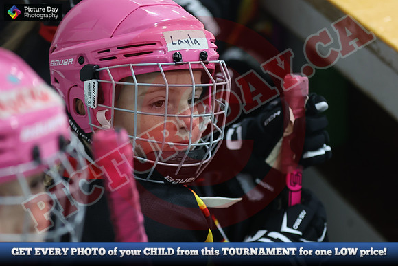 20241108-063282024 Belmont Rangers U7 Rumble