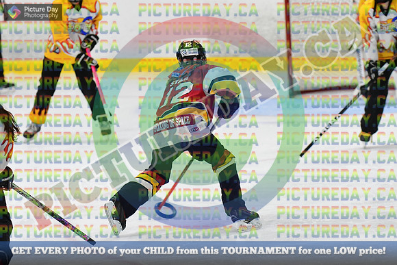 DSC_7204