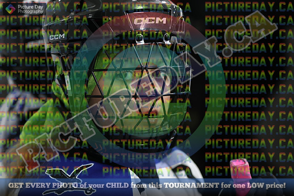 20250208-75488