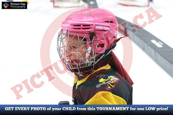 20241214-0763142024 St Marys Sinpers Ringette Tournament