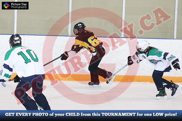 20241214-1634142024 St Marys Sinpers Ringette Tournament