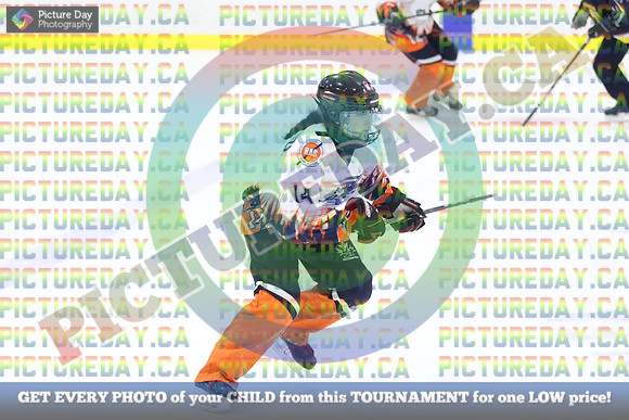 20250301-12312