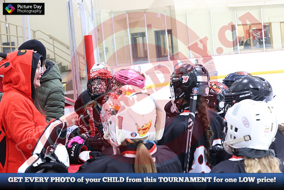 20241215-5242152024 St Marys Sinpers Ringette Tournament