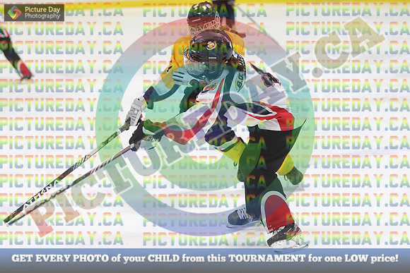20250208-8454