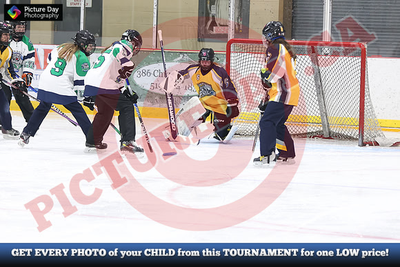 20241214-1099142024 St Marys Sinpers Ringette Tournament