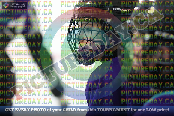 20250207-22337