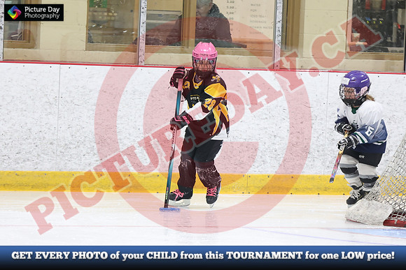 20241214-0788142024 St Marys Sinpers Ringette Tournament