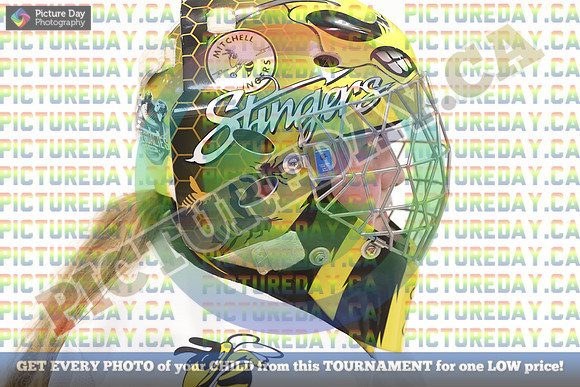 20250314-8649